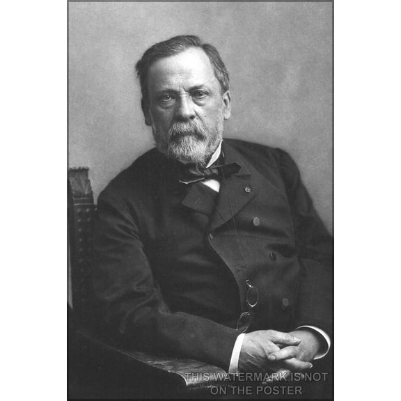 24"x36" Gallery Poster, Louis Pasteur