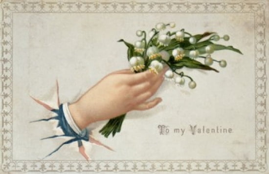 To My Valentine Nos