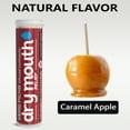 thumbnail image 3 of Xero Picks Dry Mouth relief - Caramel Apple - Infused Flavored Toothpicks - 60 Picks - 3 Pack, 3 of 7