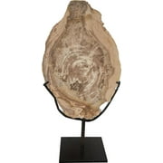 Sculpture Wood Fossil With Stand 12-In Metal Hiroshi Brass Bronze