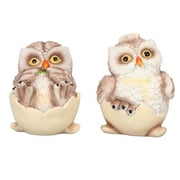 2024 2Pcs Resin Owl Ornament Desk Decoration Cute Eggshell Owl Figurines Ornament Tabletop Adornment for Living Room Office