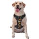 thumbnail image 1 of Fotbe Plaid Dachshund Arnés para Perro con Estampado –Chaleco Ajustable Acolchado con Asa de Control para Perros Grandes-Large, 1 of 6