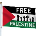 thumbnail image 1 of 3X5 Ft Free Palestine Flag Outdoor Flag, Free Palestine Flag 100D Polyester Durable Oxford Sleeve with 2 Brass Grommets, 1 of 5