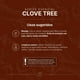 thumbnail image 5 of Aceite Esencial De Clavo | 50 ml | Ingredientes Puros y Naturales | Clove Tree Essential Oil | B Life., 5 of 7