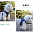 thumbnail image 6 of UOSIA Dog Harness and Leashes Set No Pull Puppy Harness Adjustable Soft Kitten Harness,Blue,XS, 6 of 6