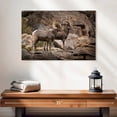 thumbnail image 2 of Elephant Stock Bighorn Sheep Couple Wall Art - Horizontal Canvas Wall Art - Living Room Wall Decor - Animal Canvas - Brown And Beige Decor - 24" x 16", 2 of 8