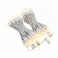 thumbnail image 1 of Cadena de luces LED JinBest 100, color blanco cálido, 10,7 m, para interiores y exteriores, 1 of 8