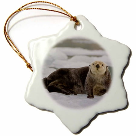 Alaska Christmas Ornament 3dRose Sea otter, Holgate Glacier, Kenai Fjords, Alaska, USA - US02 HRO0333 - Hugh Rose - Snowflake Ornament, 3-inch ()