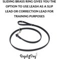 thumbnail image 6 of Regal Dog Products Waterproof Collar & 5ft Leash Set Heavy Duty Biothane, 6 of 7