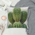 thumbnail image 2 of Fenyluxe Summer Style Tropical Succulent Plants Green Cactus Home Bed Decor Throw Pillow Cases Prickly&nbsp;Pear Pattern Super Soft Square Pillowslip (Prickly&nbsp;Pear) 22x22in, 2 of 5