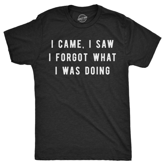 Mens I Came I Saw I Forgot What I Was Doing T Shirt Funny Sarcastic Tee for Guys Graphic Tees