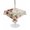 beige, variant on Outdoor Tablecloth with Umbrella Hole for Patio/Picnic/Party/Camping, Gnomes Mushroom Waterproof Table Cloth Rectangle Table Cover Washable, Country Leaves Plants Butterfly Plants (60"x 102")