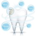 thumbnail image 2 of SonicSmile Replacement Toothbrush Heads Black Pack of 2, 2 of 4