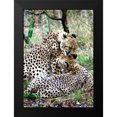 thumbnail image 2 of Underdahl, Dana 14x18 Black Modern Framed Museum Art Print Titled - Cheetah III, 2 of 5
