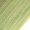 Grass Green, variant on Women Long Sleeve Shirts Square Neck Tops Ribbed Knit Basic Crop Tops Fall Outfits Fashion Clothes Apricot XXL