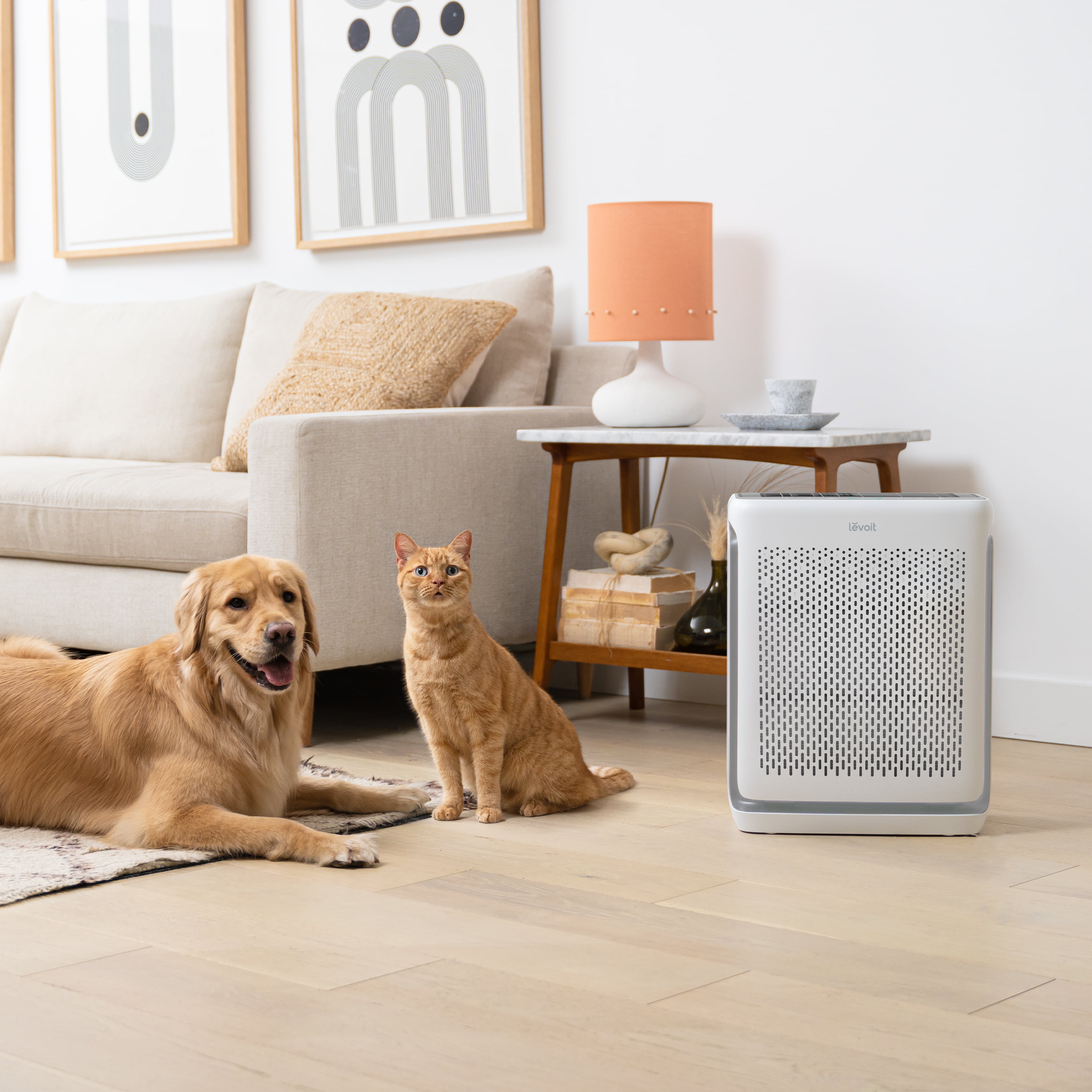 Vital 200S Smart True HEPA Air Purifier