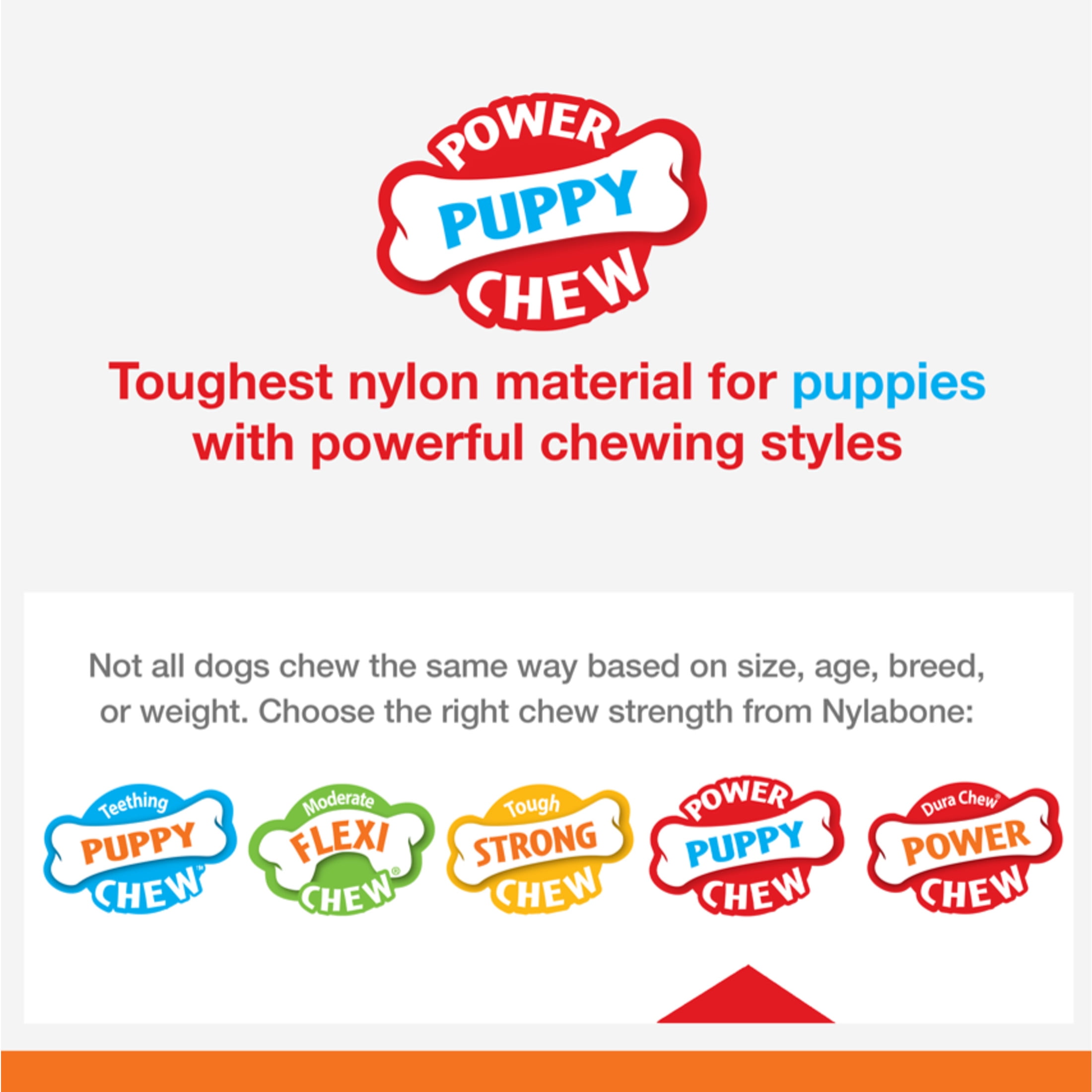 Nylabone Puppy Power Chew Axis Bone Nylon Chew Toy Vanilla Small (1 Count)