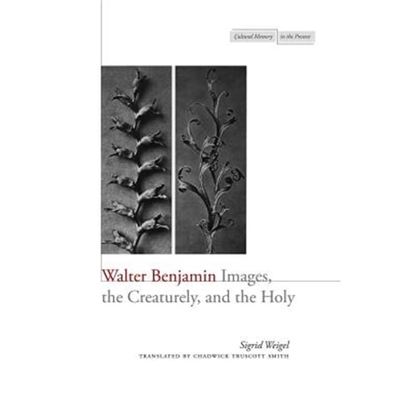 Pre-Owned Cultural Memory in the Present: Walter Benjamin : Images, the Creaturely, and the Holy (Hardcover)