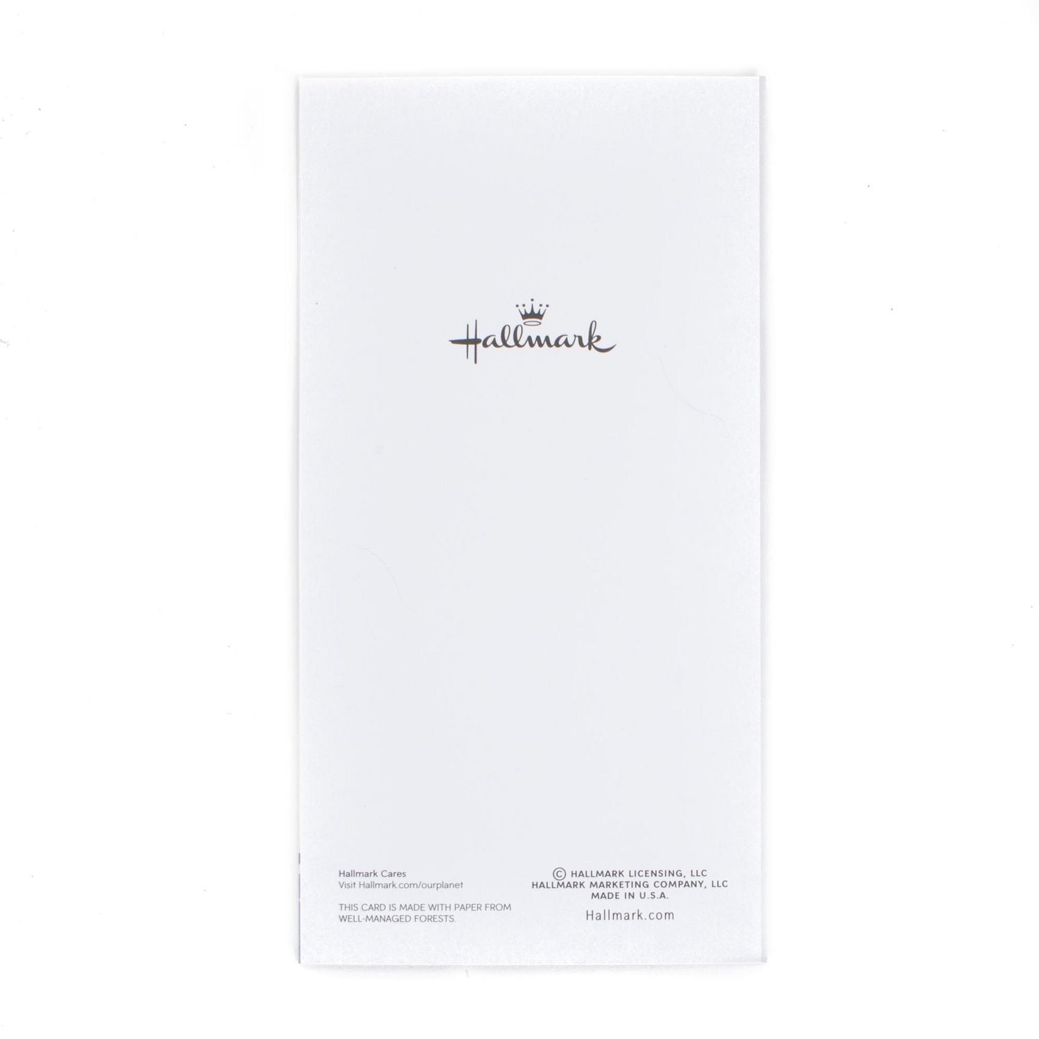 Hallmark Graduation Money Holder Greeting Cards (Best Wishes to the Graduate, 10 Cards and 10 Envelopes)