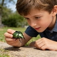 thumbnail image 6 of Qjidjing Realistic Beetle, with Interactive Head Tail Movement Mechanical Insect Models for Adults Playing Indoor Outdoor, Tricky Gifts, 6 of 7