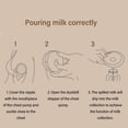 thumbnail image 3 of Colector de Leche Portátil, Cattador de Leche de Lactancia Protección de Fuga Reutilizable 2 PCS para Madres Lactantes, 3 of 7