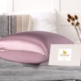 thumbnail image 3 of Unique Bargains 19 Momme Silk Pillowcase with Hidden Zipper, 3 of 10