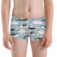 thumbnail image 5 of Yiaed Swan Princess On Lake Print Boys' Boxer Briefs Cotton Casual Stretch Comfort Boys Boxers - Kids Boxer Briefs Underwear for Boys (6-18)-XX-Small, 5 of 5