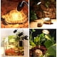 thumbnail image 5 of Luz para reptiles UVA UVB, lámpara solar de espectro completo de 50W, lámpara de calefacción UV para acuario de tortugas, reptiles acuáticos, paquete de 6 uds., 5 of 5
