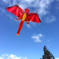 thumbnail image 4 of TISHITA 3D Spring Kite Set Funny Easy to Fly Animal Flyer Toys for Windy Day Fall Summer Red, 4 of 7