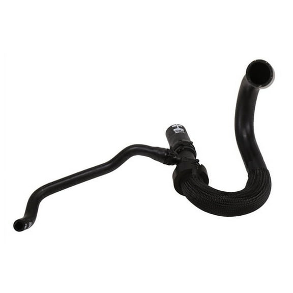 Radiator Outlet Hose