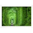 thumbnail image 2 of Wonder of Nature  Real Tunnel of Love, Green Trees and the Railroad, Ukraine, Scenic Framed Art Print Wall Art by Taiga Sold by Art.Com, 2 of 6