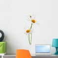 thumbnail image 1 of Daisies White Wall Decal by Wallmonkeys Peel and Stick Graphic (24 in H x 8 in W) WM212389, 1 of 4