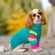 thumbnail image 5 of Suéter para perros OUOBOB, cuello alto para perros de tamaño mediano, para invierno, 5 of 6