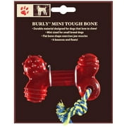 Burly Mini Tough Bone Dog Toy, 1ct