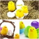 thumbnail image 5 of BRIGHTFUFU 36 Uds. Pollitos de Pascua, pollitos de Pascua, minipollitos, pollitos, decoraciones para pollitos de Pascua, 5 of 7