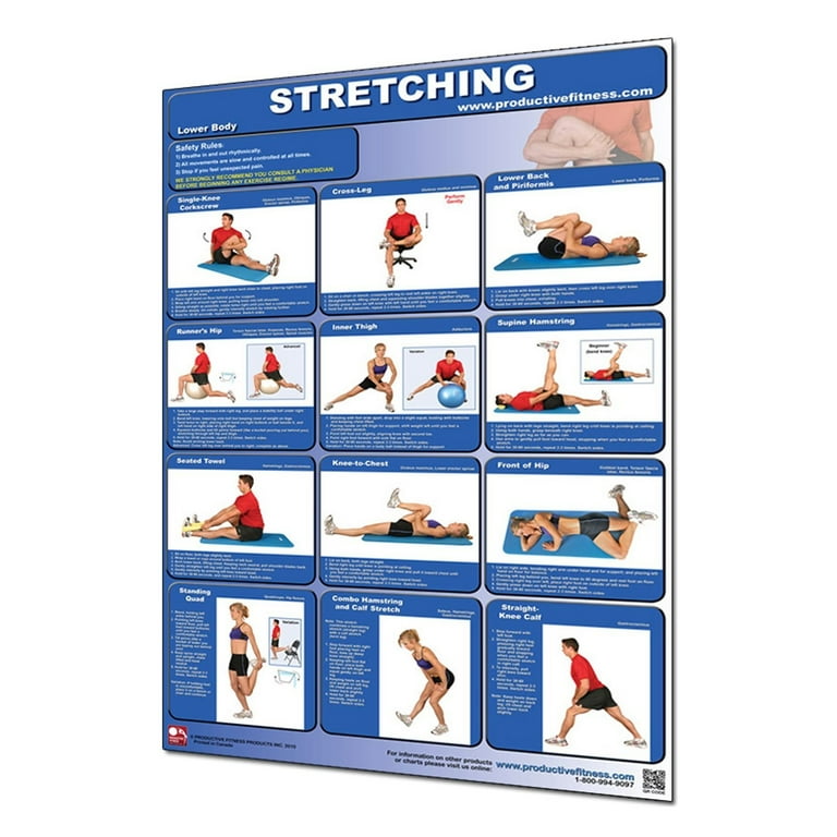 Productive Fitness Paper Poster Series Lower Body Stretching