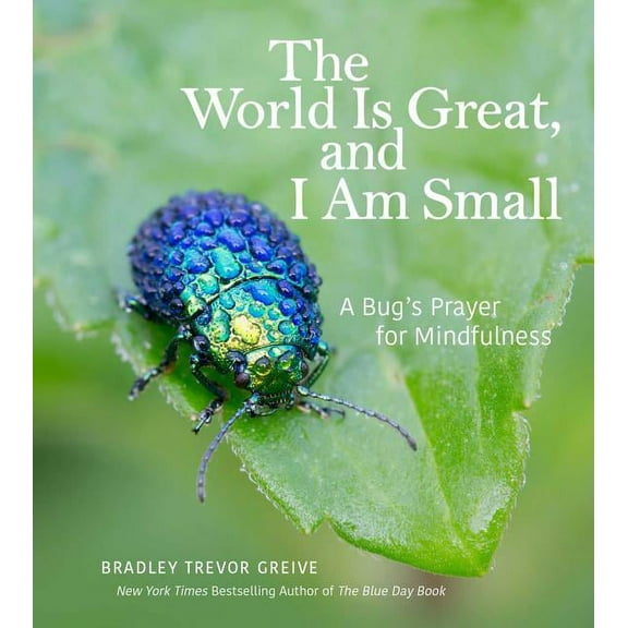 The World Is Great, and I Am Small: A Bug's Prayer for Mindfulness, (Hardcover)
