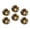 C0689, variant on Glass Refrigerator Magnet 6Pcs Magnetic Fridge Sticker,Decor for Kitchen,Whiteboard,Cabinet,Cat Portrait In Dynamic Color Forms