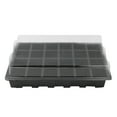 New 24 Hole Plant Seed Grows Box Nursery Garden Yard Tray Hot