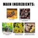 thumbnail image 5 of 1-3pcs Bee Venom Lymphatic Drainage & Slimming Oil Body Slim for Women and Men 30ml, 5 of 5