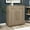 Antiqued Gray Oak, variant on Evelyn&Zoe Tillman 28" Wide Rectangular Accent Cabinet, White