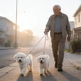 thumbnail image 4 of Double Dog Leash With Foam Handle Gradient Nylon Rope For Two Dogs Double Hook Walking Lead For Small To Medium Dogs, 4 of 6