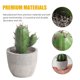 thumbnail image 2 of 2 piezas de cactus artificiales en maceta para decorar el escritorio., 2 of 7