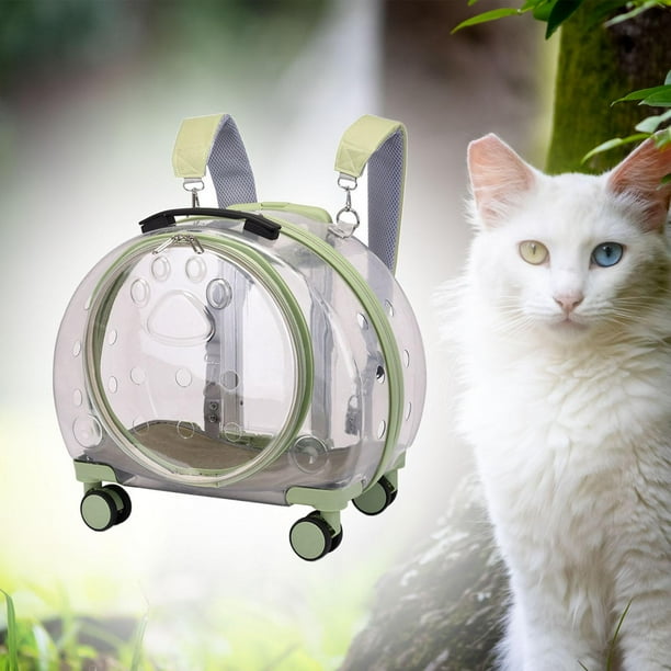 Bolsa para gatos mochila con varilla de traccion telescopica Ligera con ruedas Bolso de equipaje Maleta con ruedas para mascotas para perros pequenos Totalmente transparente y verde. Salvador Caja de ...