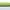 Sharp Lime, variant on Rubbermaid TakeAlongs, 1 Gallon, 2 Packs, Red, Large Rectangular Plastic Food Storage Containers