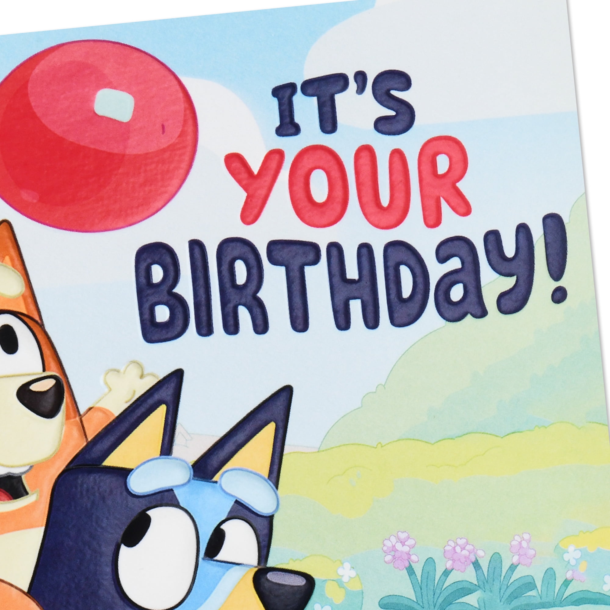 Hallmark Bluey Pop-Up Birthday Card for Kid (Keep the Fun Going)
