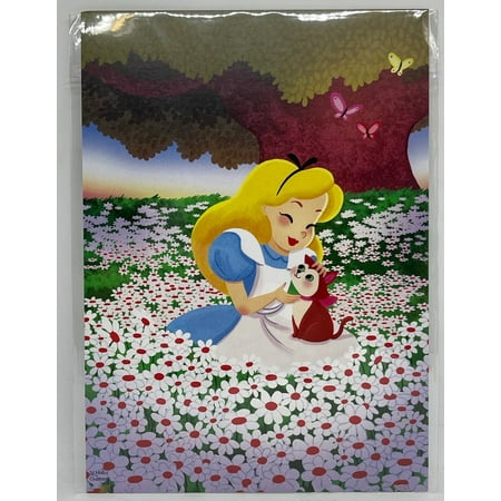 Disney Parks A World of Mine by Nidhi Chanani Postcard Wonderground Gallery New