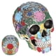 thumbnail image 5 of Adorno De Calavera De Fuerte Estabilidad, Modelo De Calavera De Resina De Calavera Decorativa, Resistencia Al Desgaste Para Colección De Arte De Regalo, Adornos De Barra Mgaxyff Home Decoration, 5 of 8
