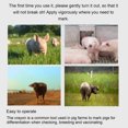 thumbnail image 4 of Livestock Marker Crayon for Pig Sheep Cow Cattle, Clear & Stable, Convenient Pig Skin Marking, ABS Material, Safe Use, 4 of 7