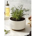 thumbnail image 5 of BEMAY 2-Pack 8+6.5 inch White Ceramic Succulent Pots with Drainage Holes for Indoor, Patio, and Garden Decor Plant Pots, 5 of 9